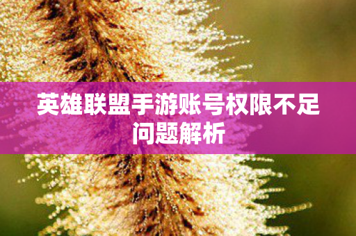 英雄联盟手游账号权限不足问题解析图片