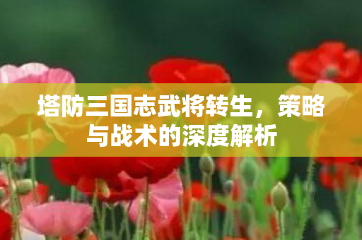 策略与战术的深度解析图片