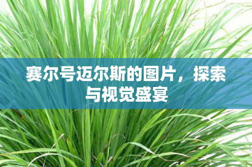 赛尔号迈尔斯的图片图片