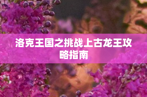 洛克王国之挑战上古龙王攻略指南图片