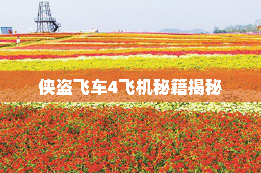 侠盗飞车4飞机秘籍揭秘图片
