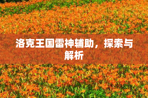洛克王国雷神辅助图片