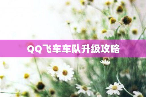 QQ飞车车队升级攻略图片