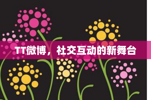 社交互动的新舞台图片