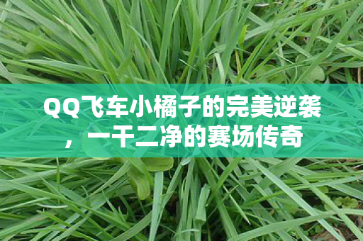 QQ飞车小橘子的完美逆袭图片