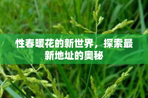 探索最新地址的奥秘图片