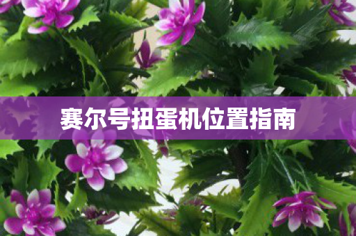 赛尔号扭蛋机位置指南图片