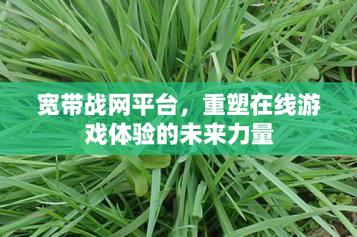 重塑在线游戏体验的未来力量图片