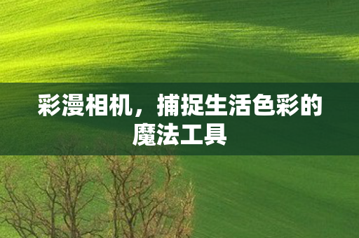 捕捉生活色彩的魔法工具图片