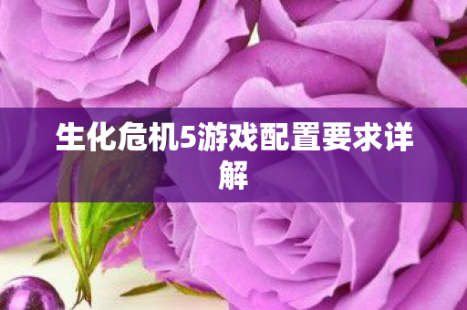 生化危机5游戏配置要求详解图片