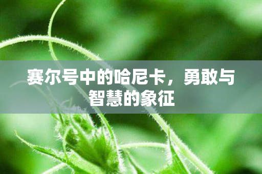 赛尔号中的哈尼卡图片