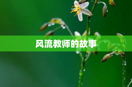 风流教师的故事图片