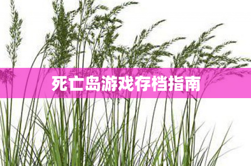 死亡岛游戏存档指南图片