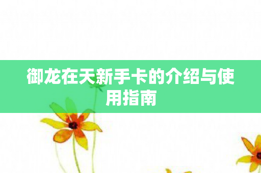 御龙在天新手卡的介绍与使用指南图片