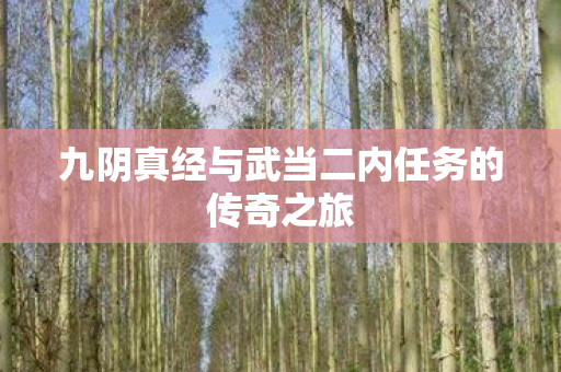 九阴真经与武当二内任务的传奇之旅图片