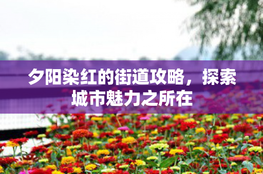夕阳染红的街道攻略图片