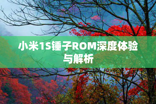 小米1S锤子ROM深度体验与解析图片