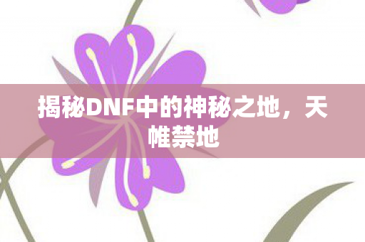 揭秘DNF中的神秘之地图片