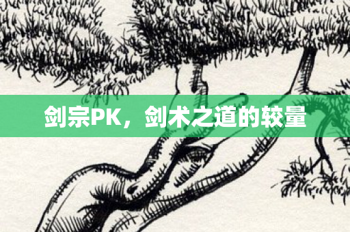 剑术之道的较量图片