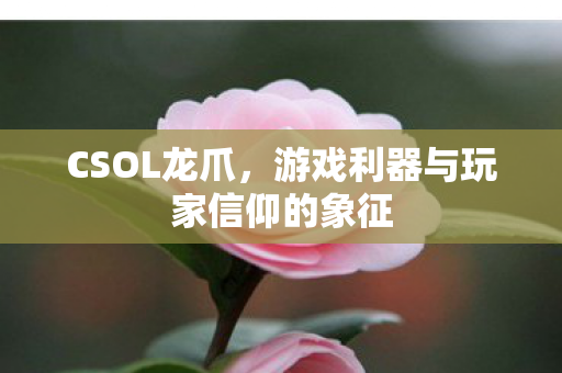 游戏利器与玩家信仰的象征图片