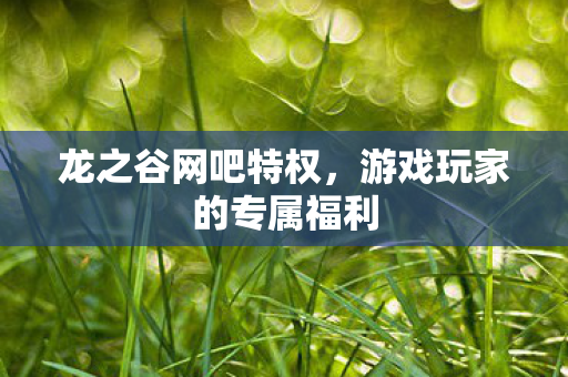 游戏玩家的专属福利图片