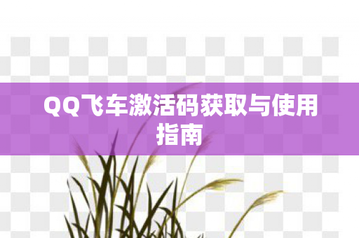 QQ飞车激活码获取与使用指南图片