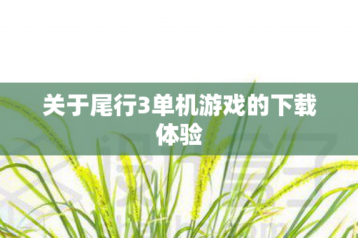 关于尾行3单机游戏的下载体验图片