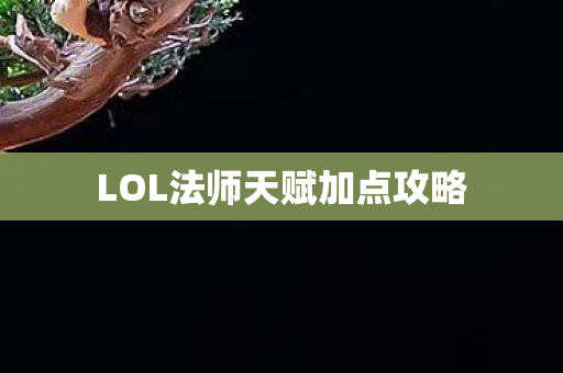LOL法师天赋加点攻略图片