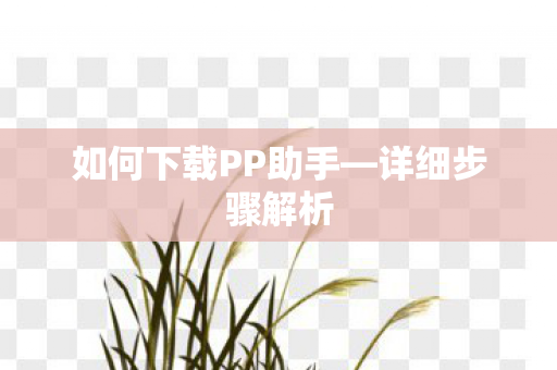 如何下载PP助手图片