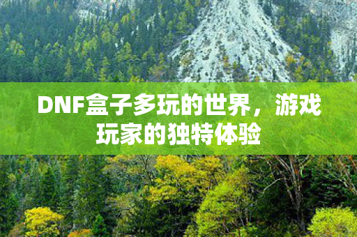 DNF盒子多玩的世界图片