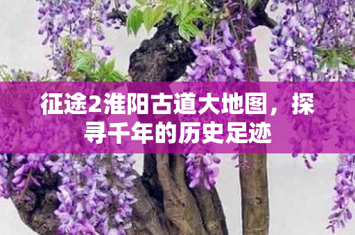 征途2淮阳古道大地图图片
