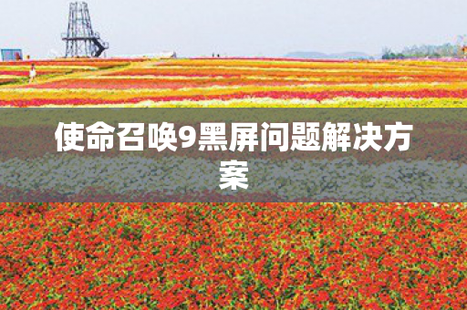 使命召唤9黑屏问题解决方案图片
