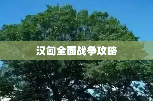 汉匈全面战争攻略图片