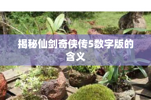 揭秘仙剑奇侠传5数字版的含义图片