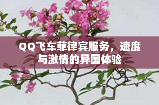 速度与激情的异国体验图片