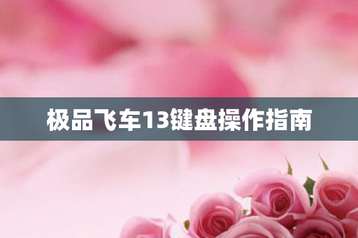 极品飞车13键盘操作指南图片