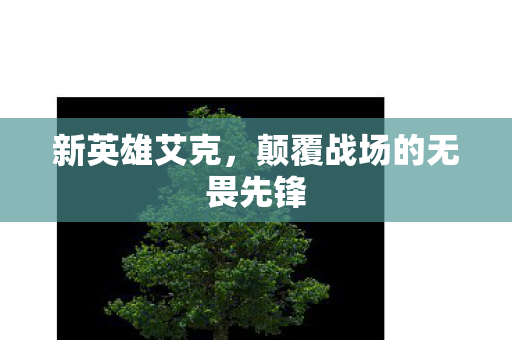 颠覆战场的无畏先锋图片