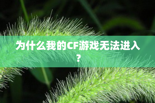 为什么我的CF游戏无法进入图片