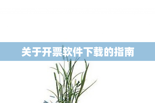 关于开票软件下载的指南图片