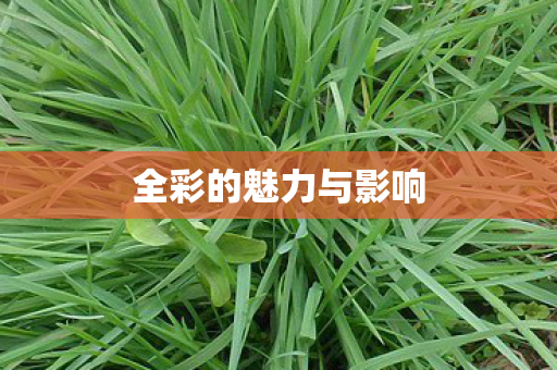 全彩的魅力与影响图片