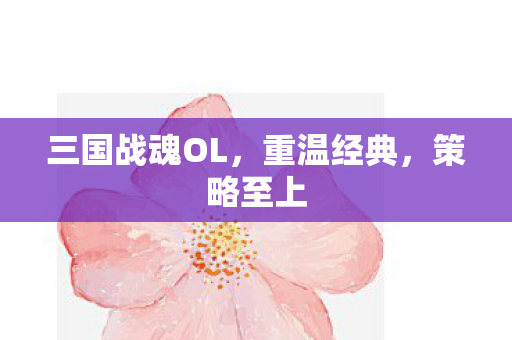 三国战魂OL图片