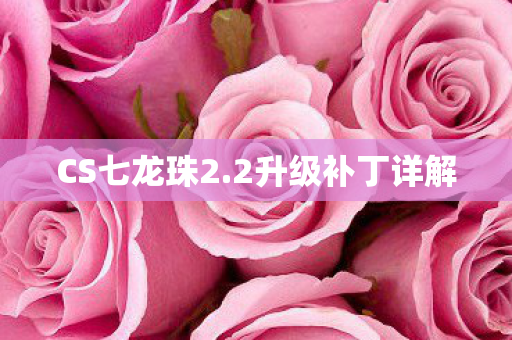 2升级补丁详解图片