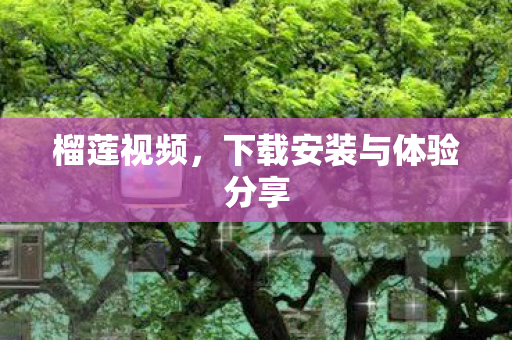 下载安装与体验分享图片