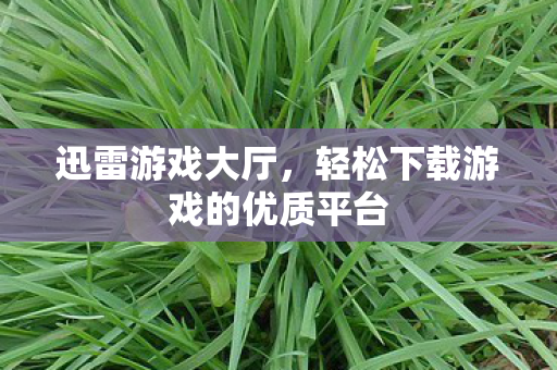 轻松下载游戏的优质平台图片