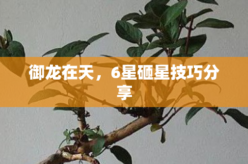 6星砸星技巧分享图片