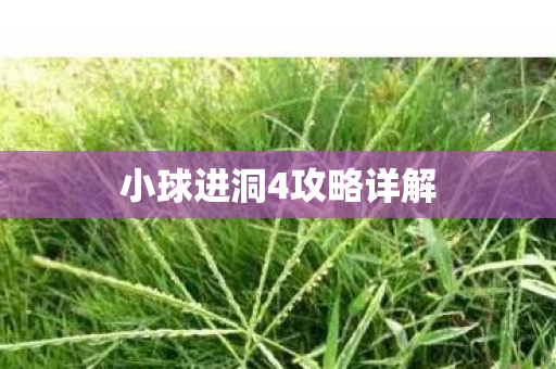 小球进洞4攻略详解图片