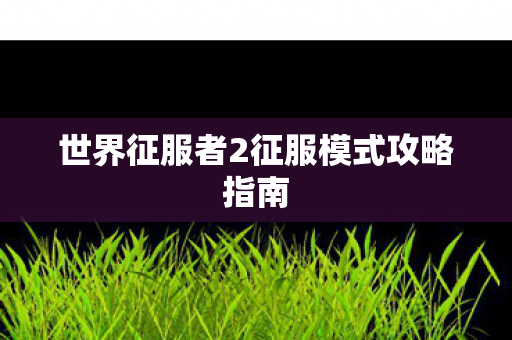 世界征服者2征服模式攻略指南图片