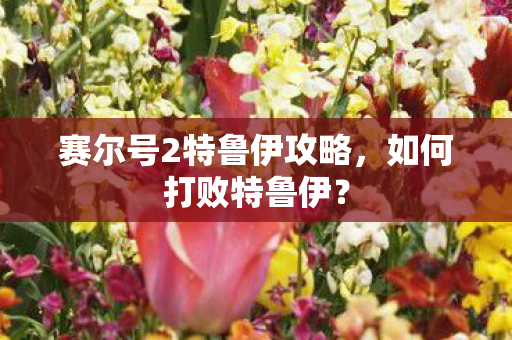 赛尔号2特鲁伊攻略图片
