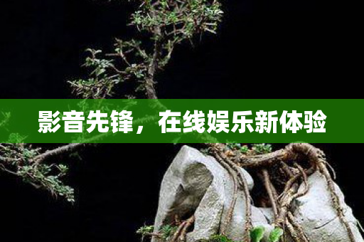 在线娱乐新体验图片
