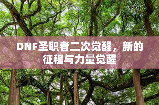 DNF圣职者二次觉醒图片